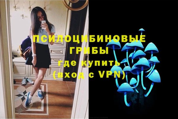 мяу мяу кристалл Алексин